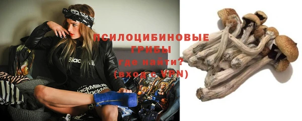 ГАЛЛЮЦИНОГЕННЫЕ ГРИБЫ Кулебаки