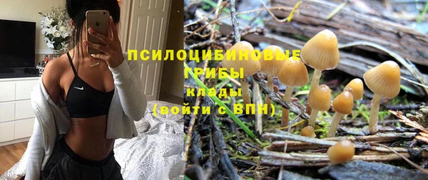ГАЛЛЮЦИНОГЕННЫЕ ГРИБЫ Кулебаки