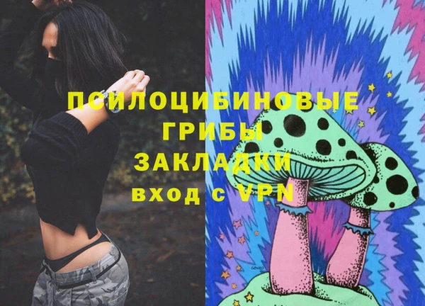 а пвп мука Кукмор
